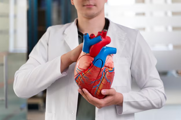 Doctor holding a figurine of a heart