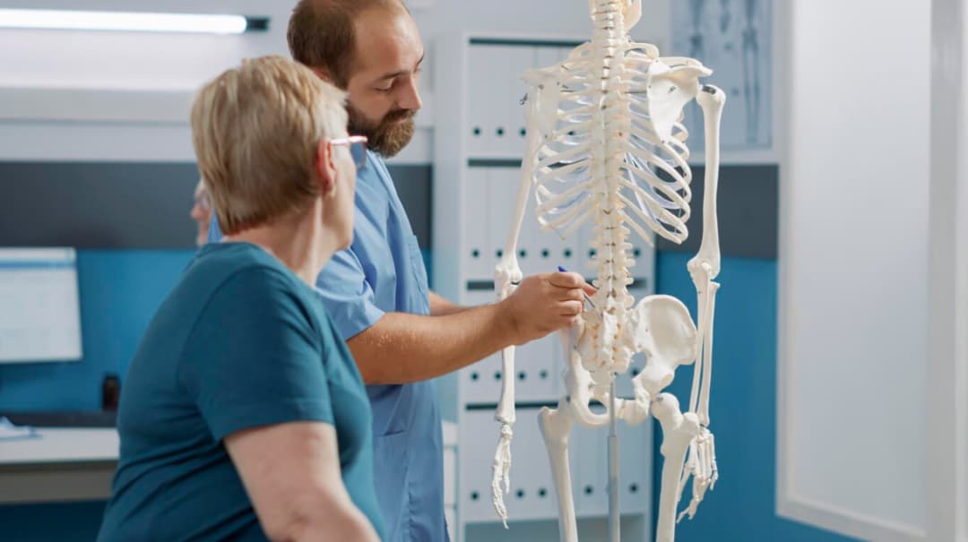 Medical practitioner discussing skeletal anatomy with an older patient